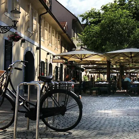 Petkovsek And Hiša za goste Ljubljana