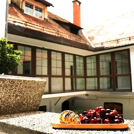 Guest house Petkovsek And Ljubljana