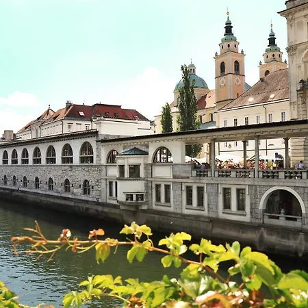 Petkovsek And 3* Ljubljana