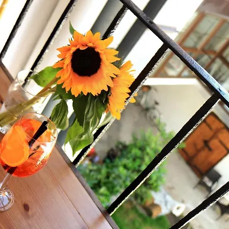 Petkovsek And Ljubljana