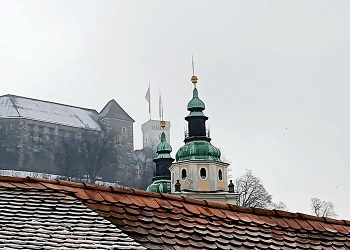 Guest house Petkovsek And 3*