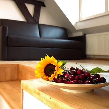 Petkovsek And Guest house